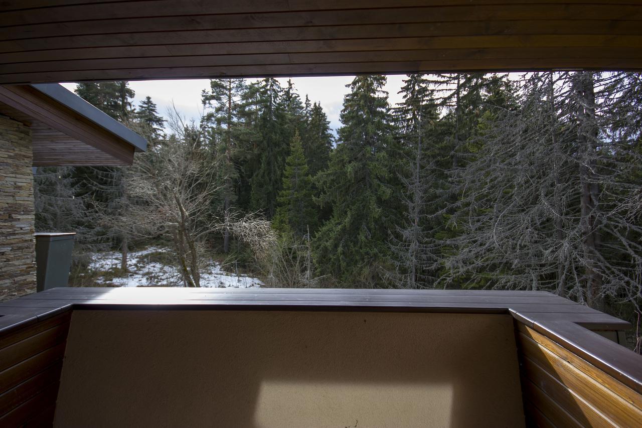 Borovets Chalets Экстерьер фото